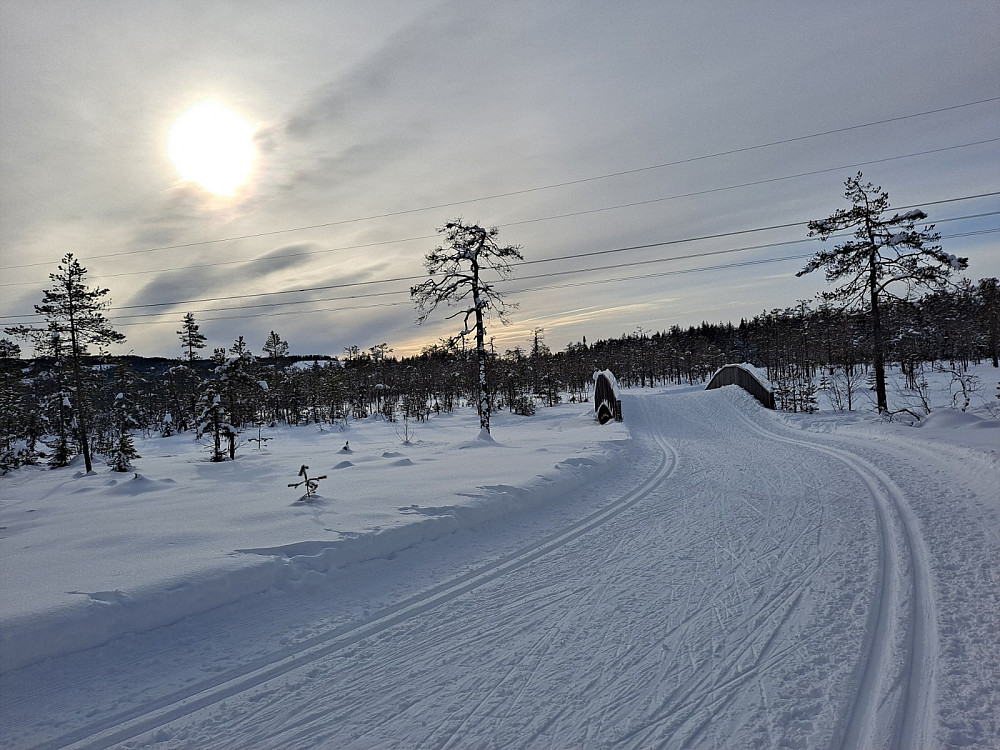 Ved Kubrua