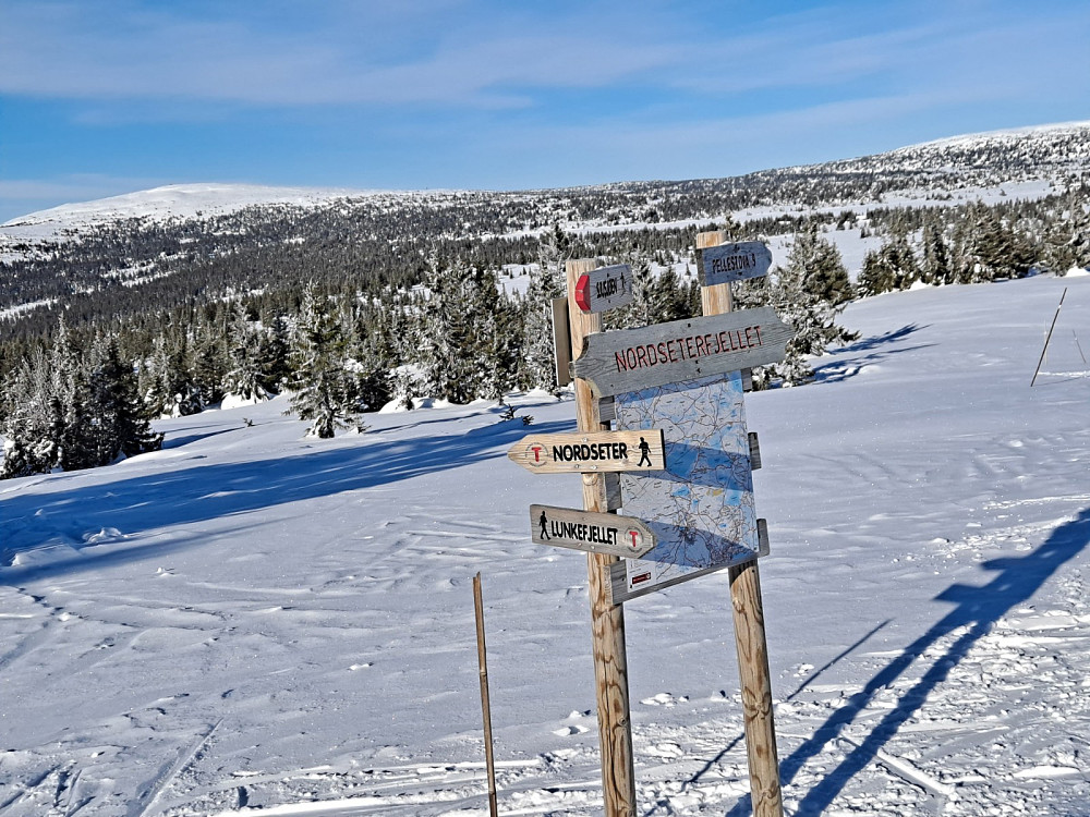Ved sti-og løypekrysset Nordseterfjellet