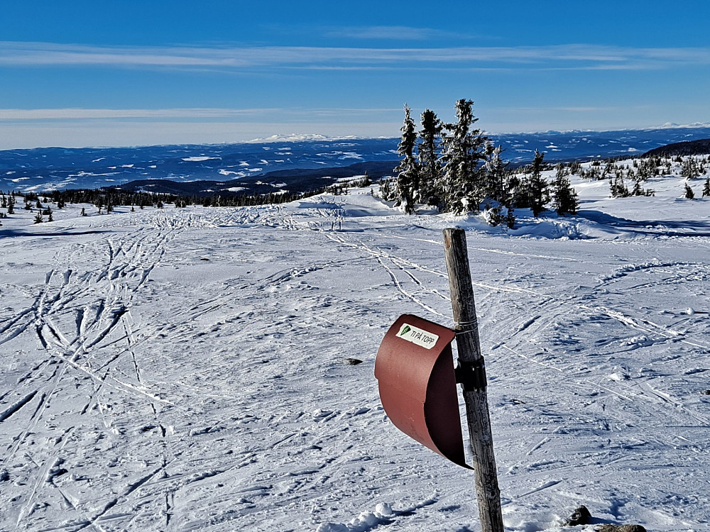 På Sjusjøfjellet