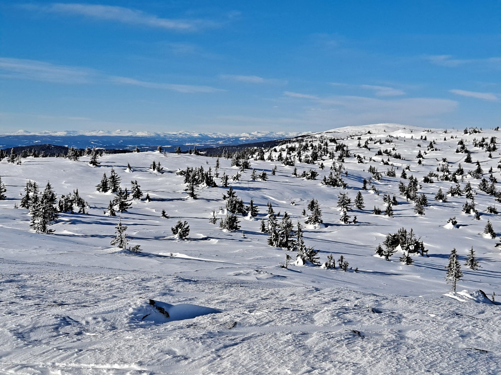 På Sjusjøfjellet øst