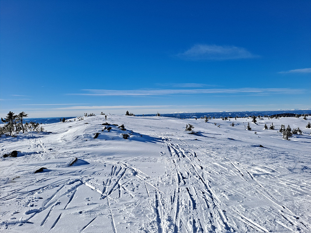 På Sjusjøfjellet øst