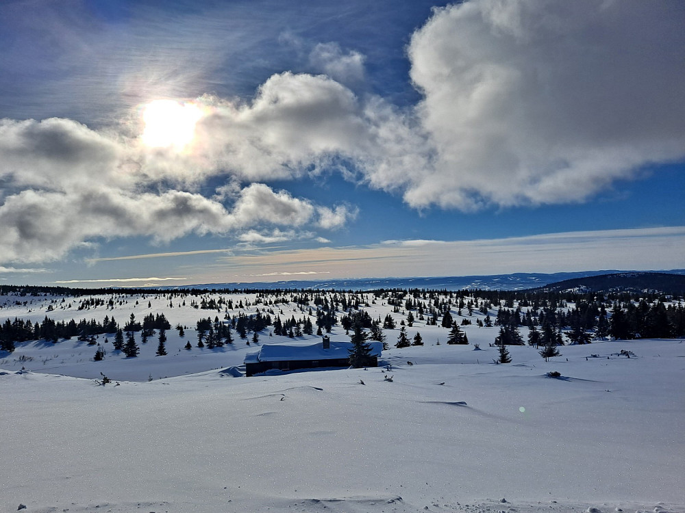 I løypa ved Løvisåsen