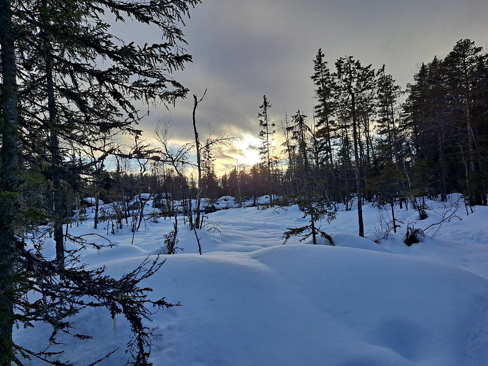 Ved Øvre Køyta