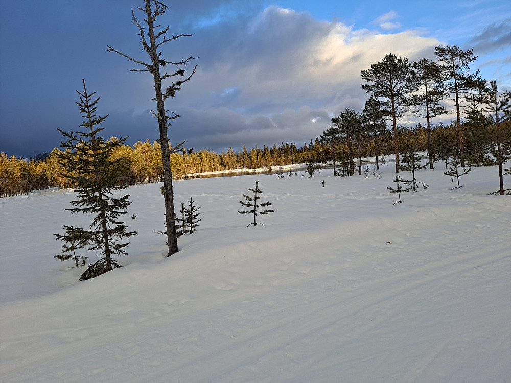 På Bottilmyra