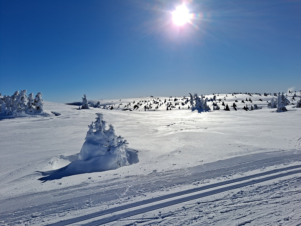 Mot Sjusjøfjellet