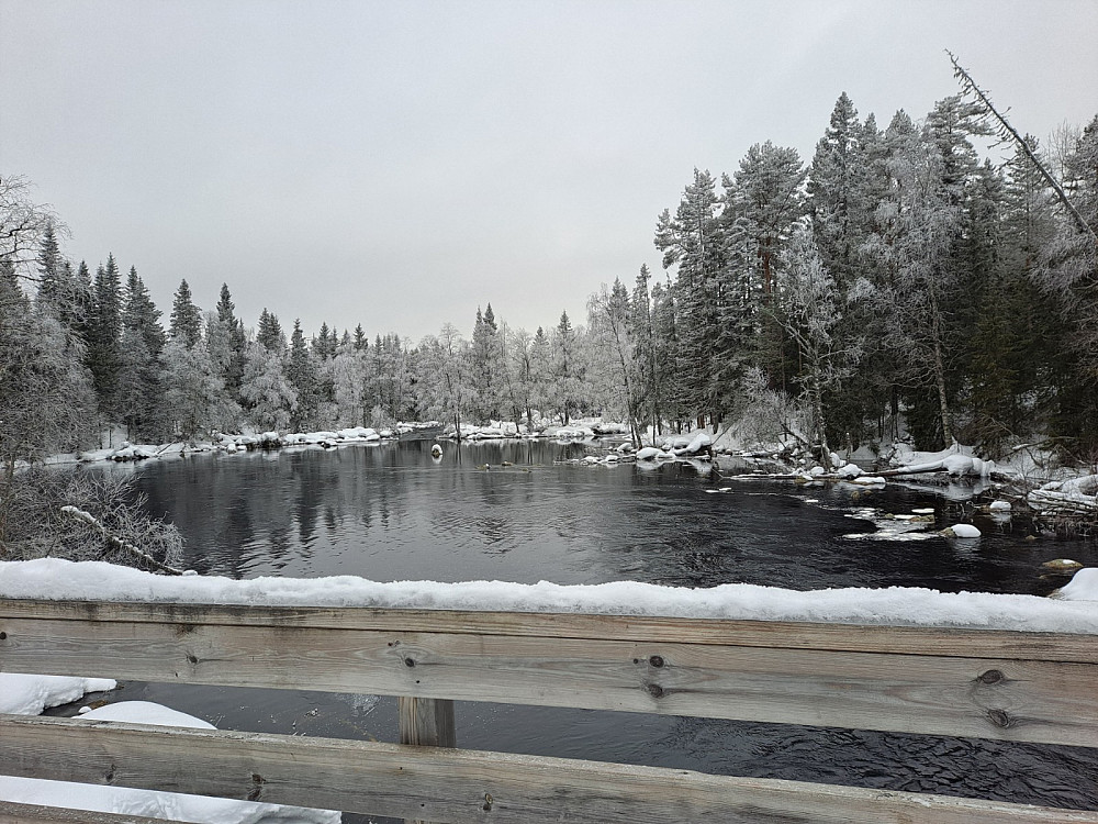 Ved Mesnasaga