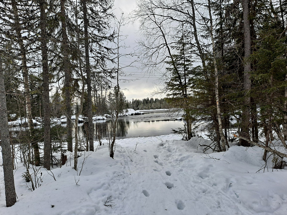 Ved Birkebeinerløypa