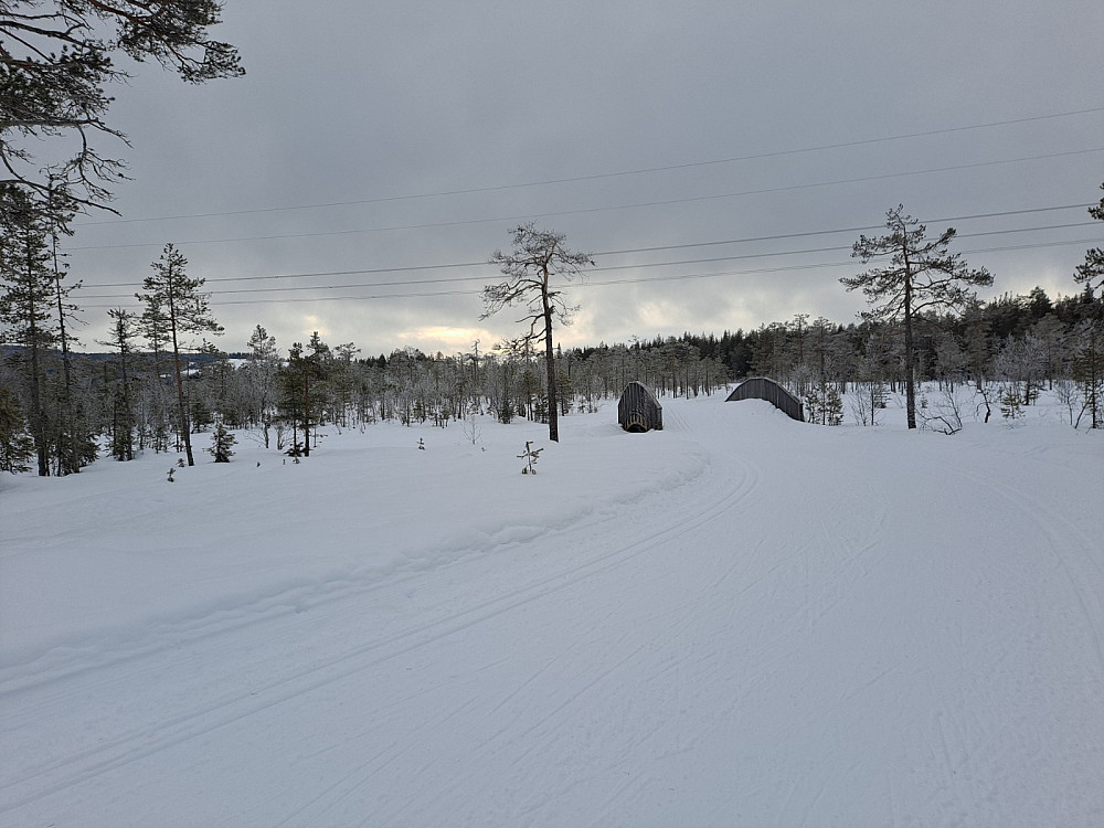 Ved Kubrua