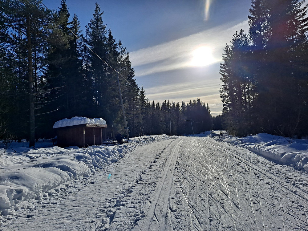 Ved Hammerkoia