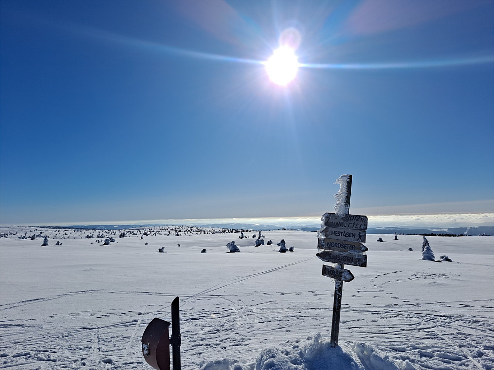 På Lunkefjell