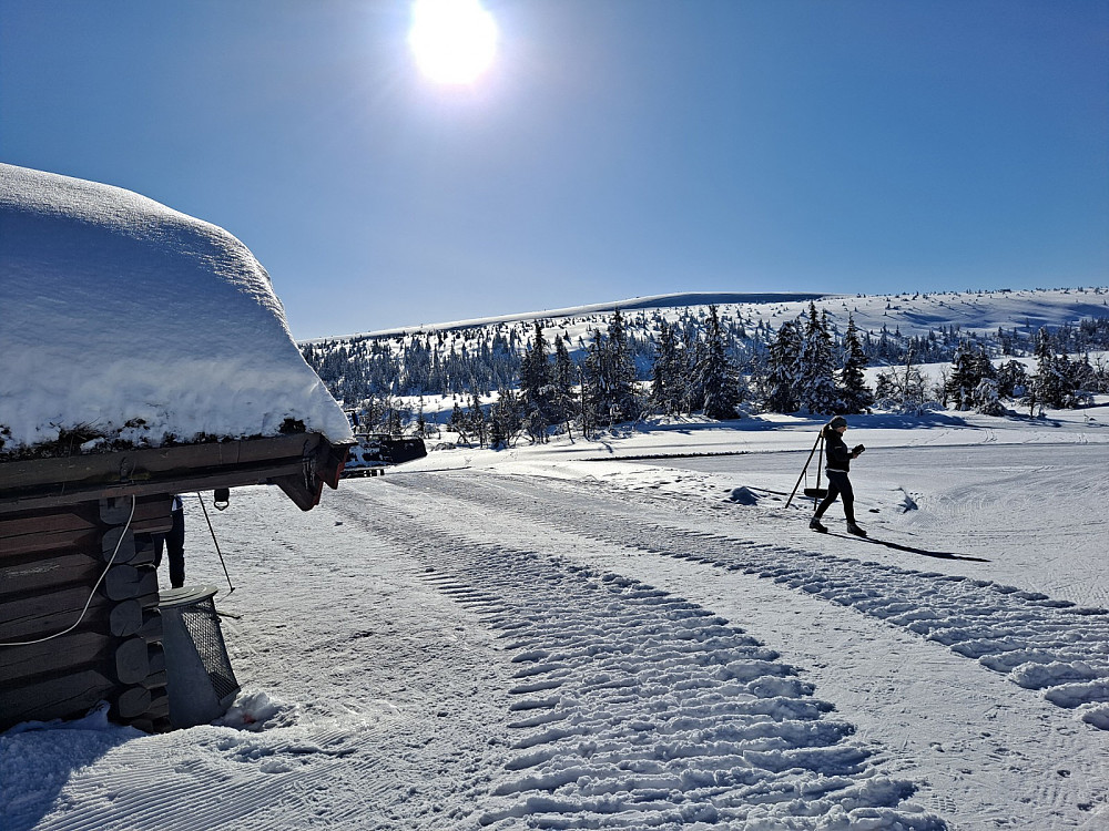 Ved Midtfjellkoia, ser tilbake på Snørvillen