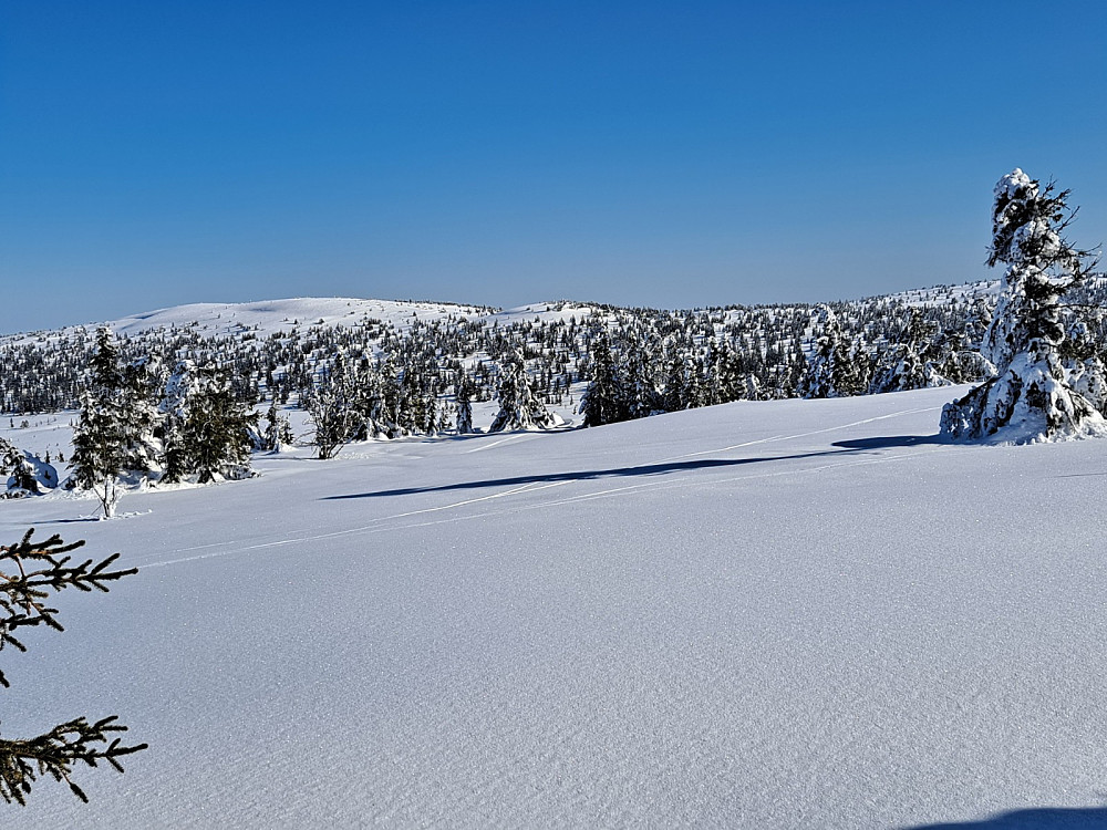På Gjesboåsen, ser mot Steinvikfjellet