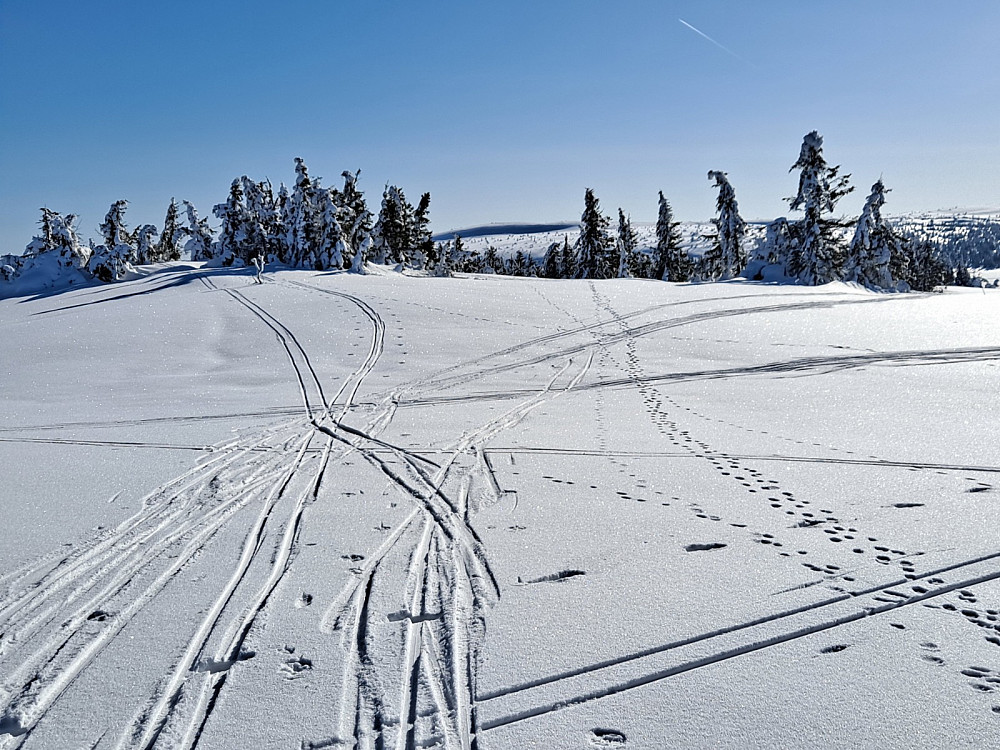 På Gjesboåsen, ser mot Snørvillen