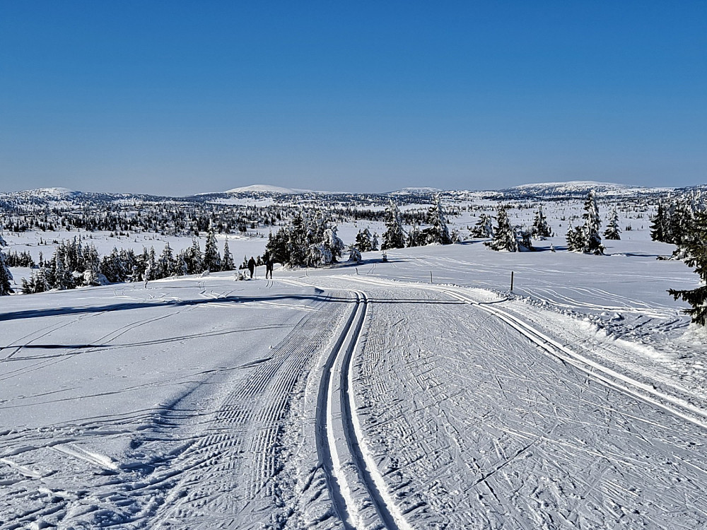 Gjesboåsen, løypas høgeste punkt