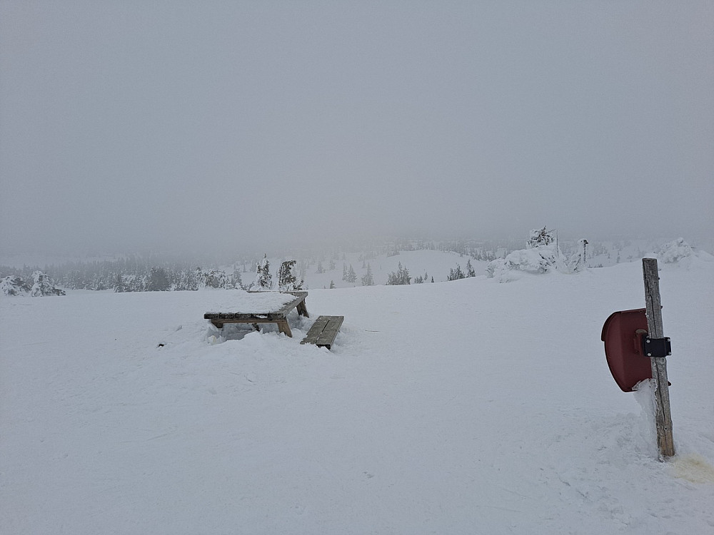 På Sjusjøfjellet