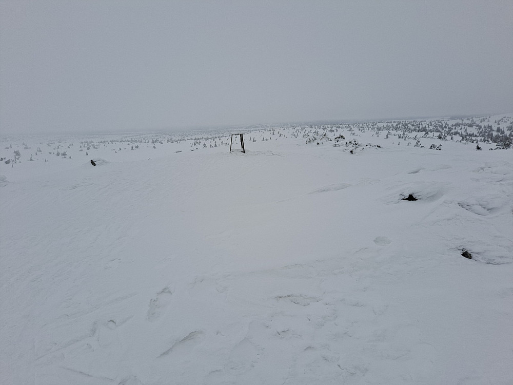 På Sjusjøfjellet øst