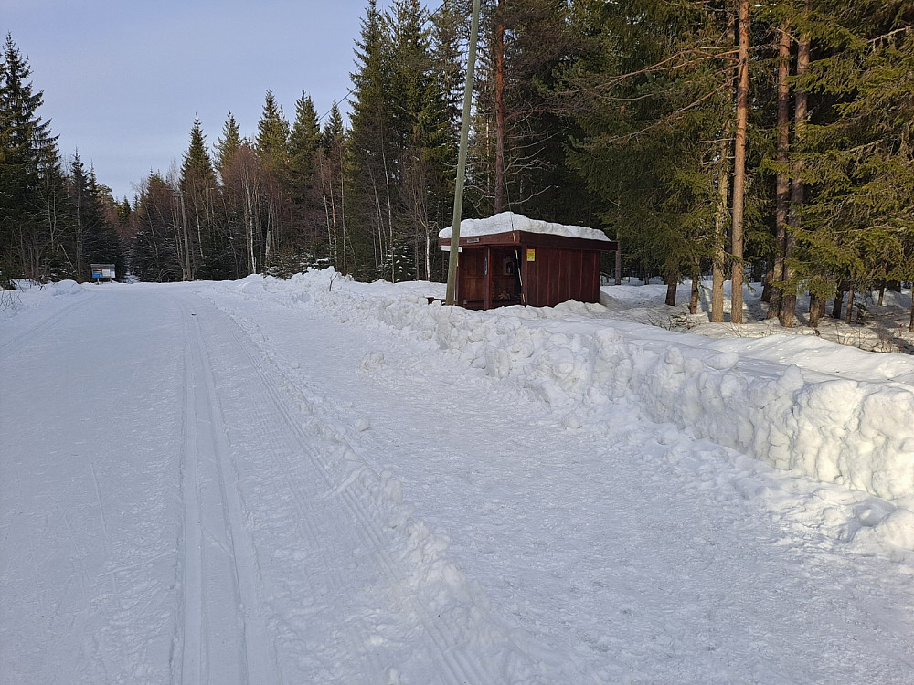 Ved Hammerkoia