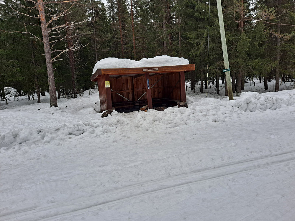 Ved Hammerkoia