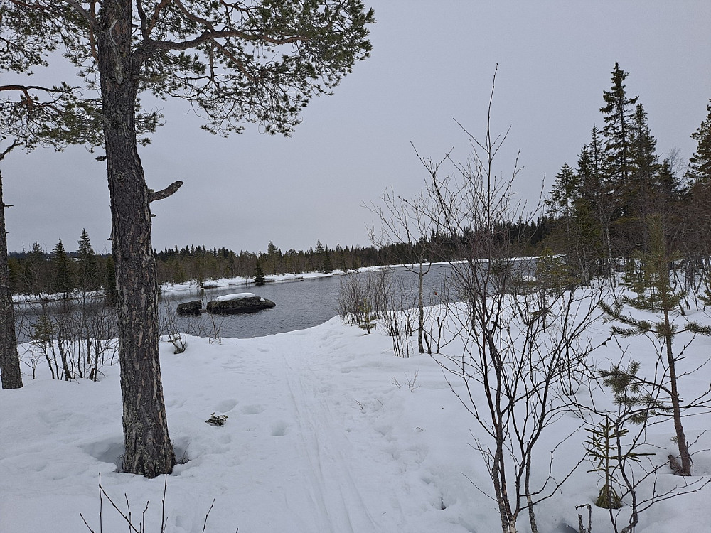 Ved Bottilflø