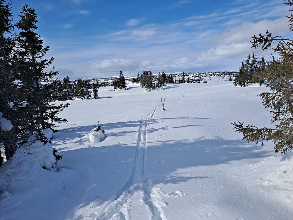På Gjesboåsen