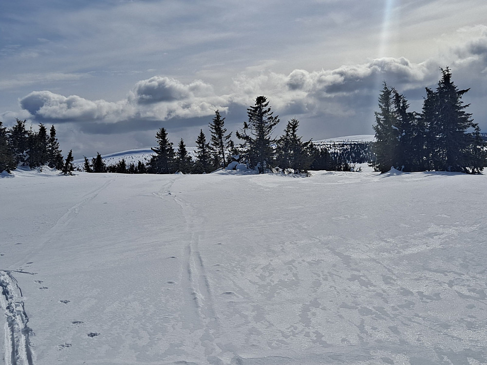 På Gjesboåsen