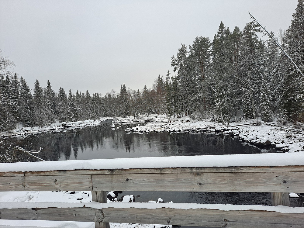 Mesnaelva ved Mesnasaga