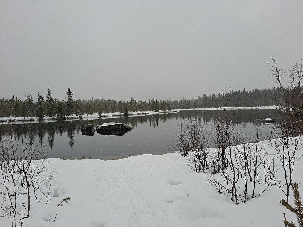 Mesnaelva bed Bottilflø