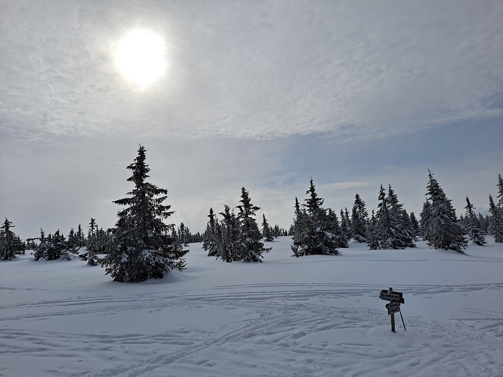 Oppover mot Nordseterfjellet