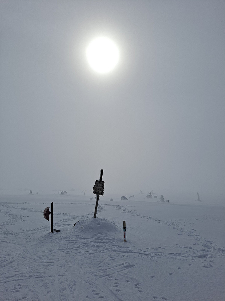 På Lunkefjell