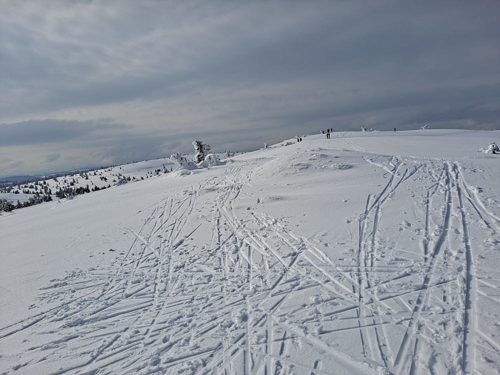 På Sjusjøfjellet øst