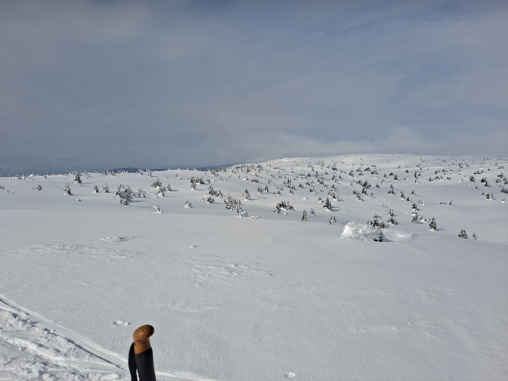 På Sjusjøfjellet øst, mot Lunkefjell