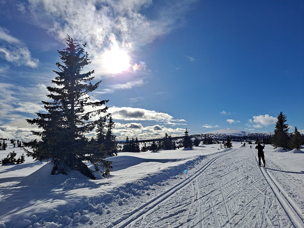 Fra Melsjøsetervegen mot Nevelfjell