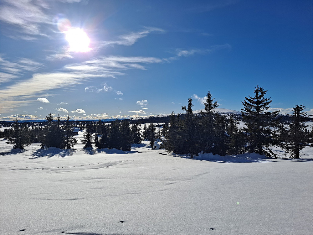 P Nevelåsen