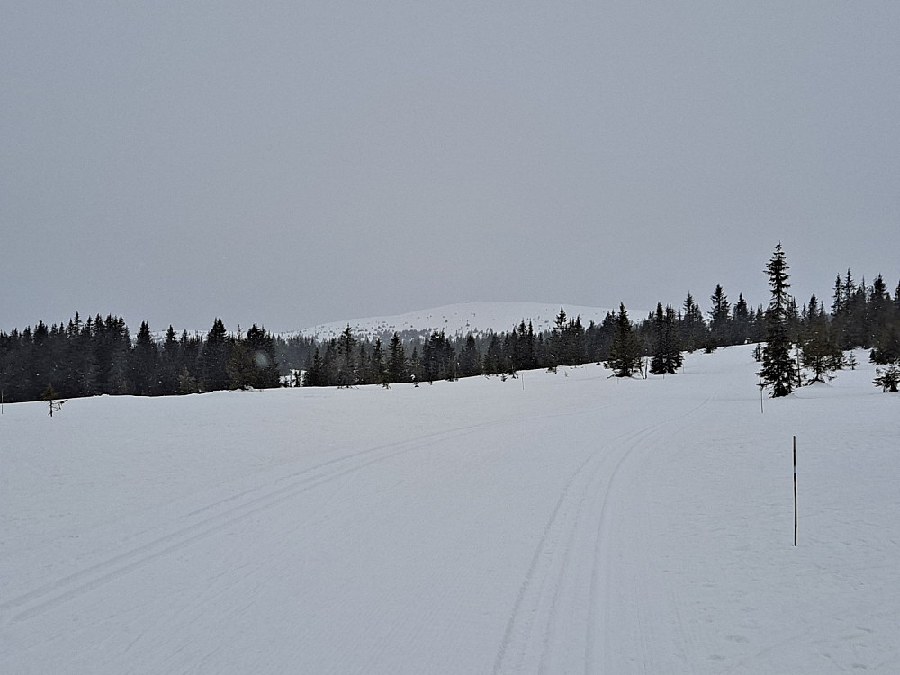 Nevelfjell mens jeg går oppover mot Nevelosen