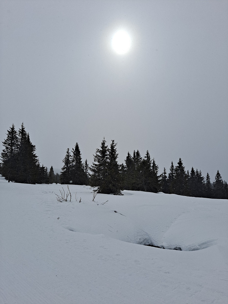 Ved Nevelosen, skimter sola