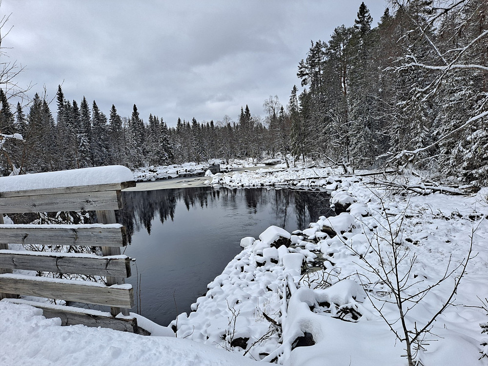 Ved Mesnasaga