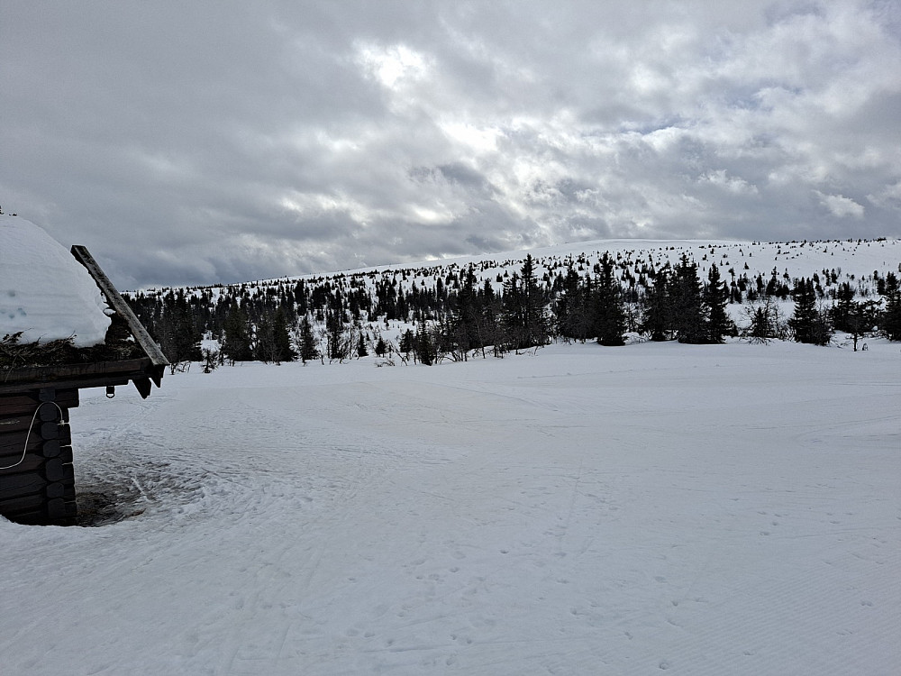 Ved Midtfjellkoia