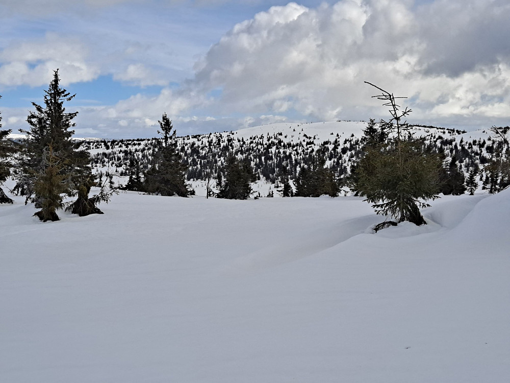 På Gjesboåsen, mot Steinvikfjellet