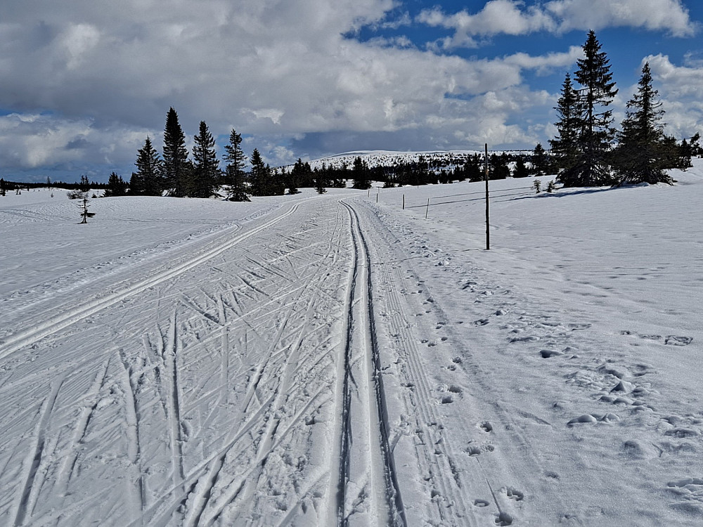 Mot Snørvillen