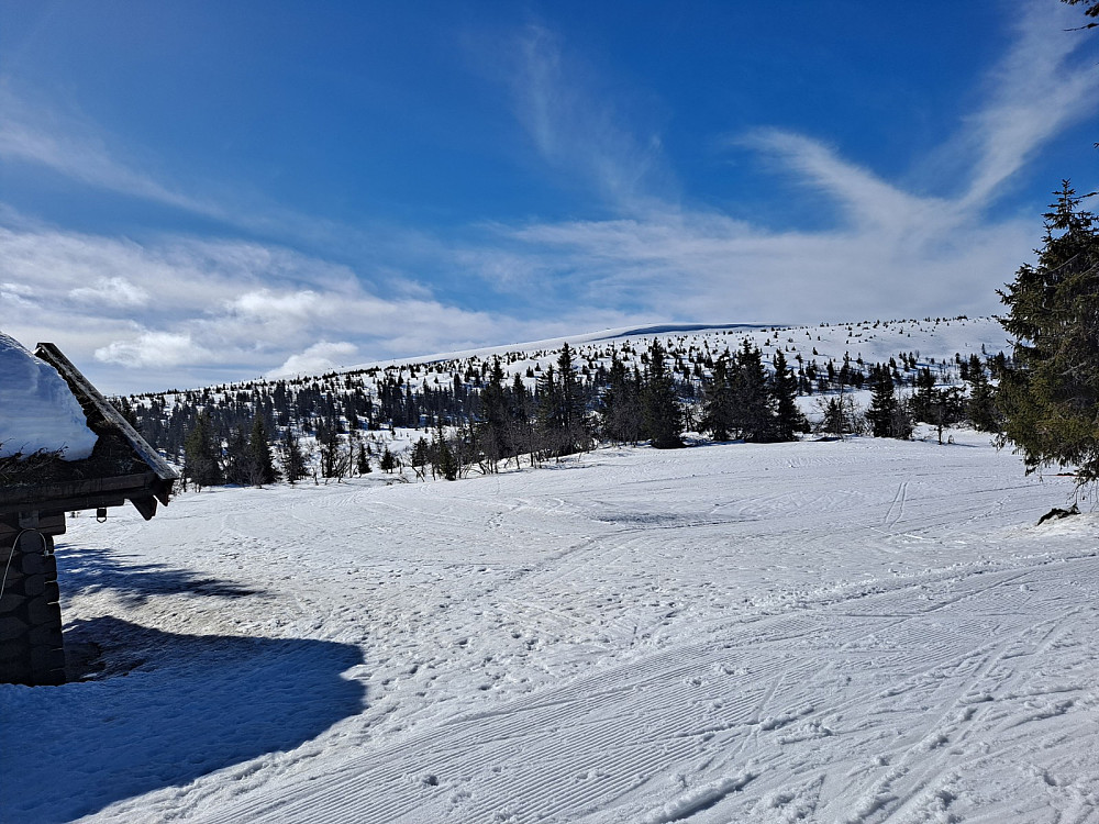 Ved Midtfjellkoia