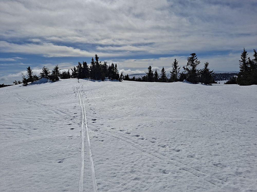 På Gjesboåsen
