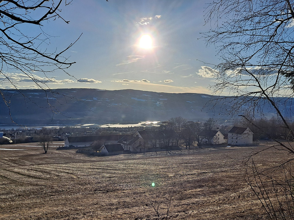 Lysgård