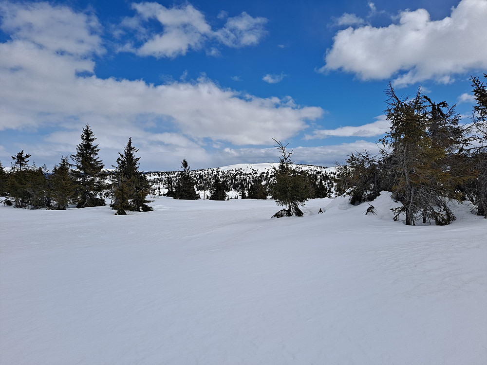 På Gjesboåsen, mot Steinvikfjellet