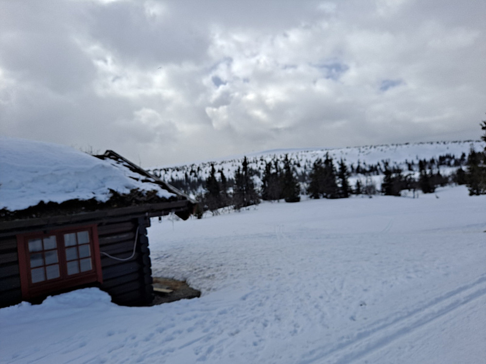 Ved Midtfjellkoia