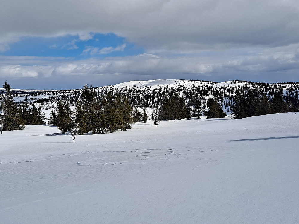 På Gjesboåsen, mot Steinvikfjellet