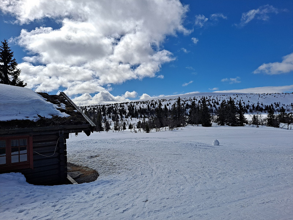 Ved Midtfjellkoia