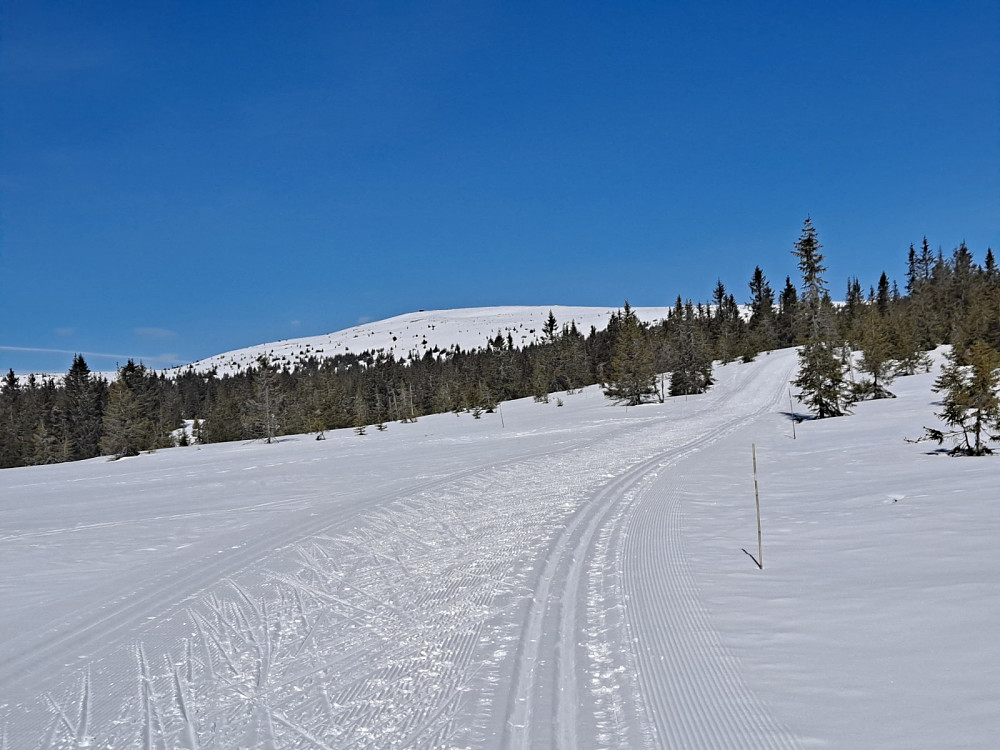 Mot Nevelfjell, oppover mot Nevelosen
