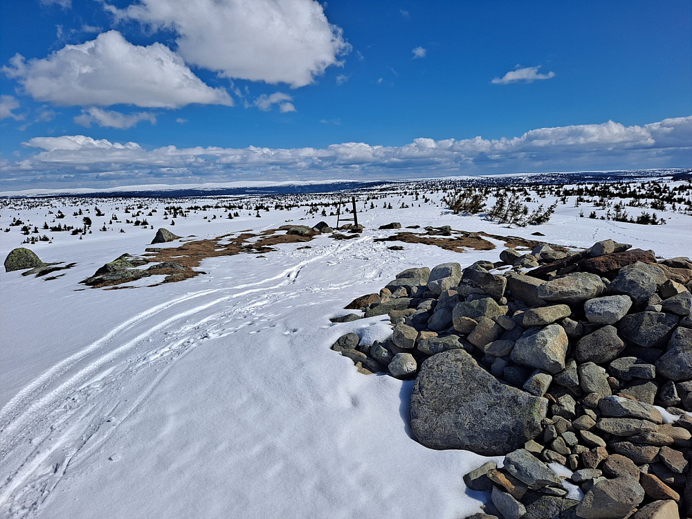 På Sjusjøfjellet øst