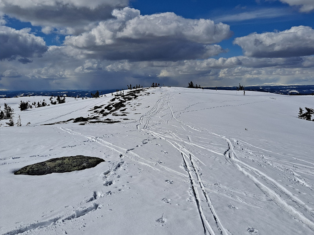På Sjusjøfjellet øst