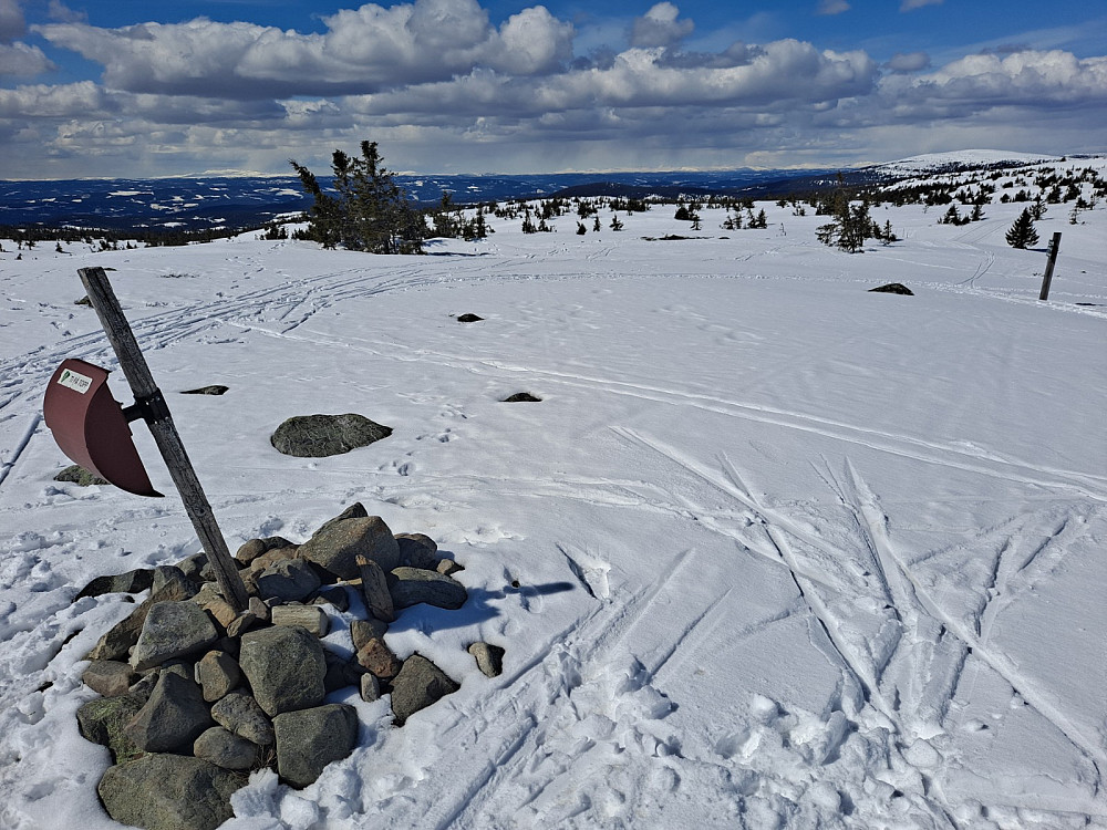 På Sjusjøfjellet